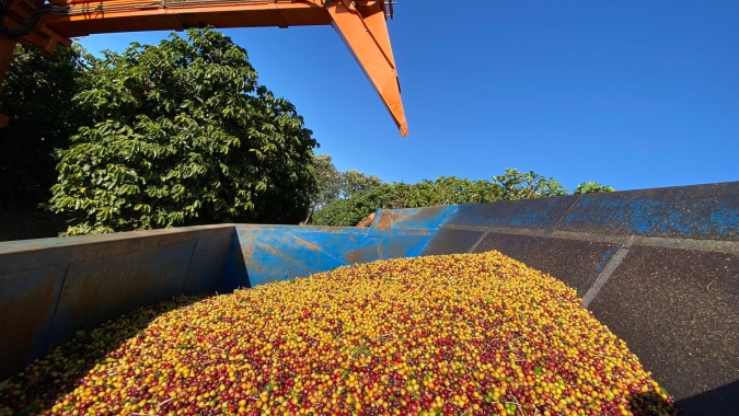 Café: Preocupação com oferta global e com clima mantém preços em alta nesta 6ª feira