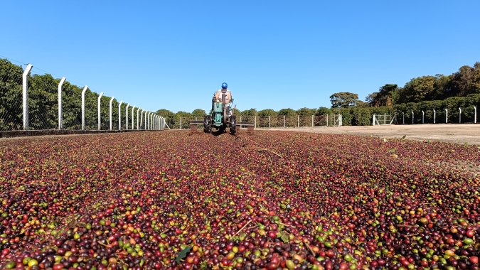 Café: Com queda nas importações em 2025, estoques europeus recuam
