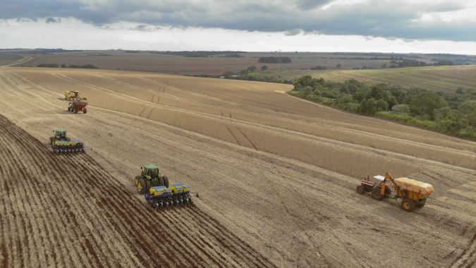 Com fim do vazio sanitário, plantio de soja começa em 5,8 milhões de hectares no Paraná