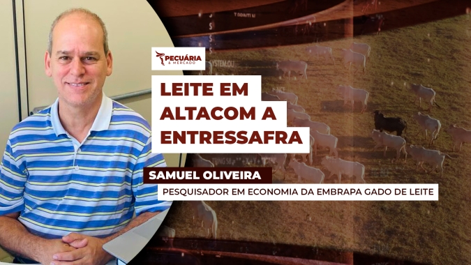 Embrapa confirma alta no leite ao produtor em março com entressafra mas alerta para limitações no movimento