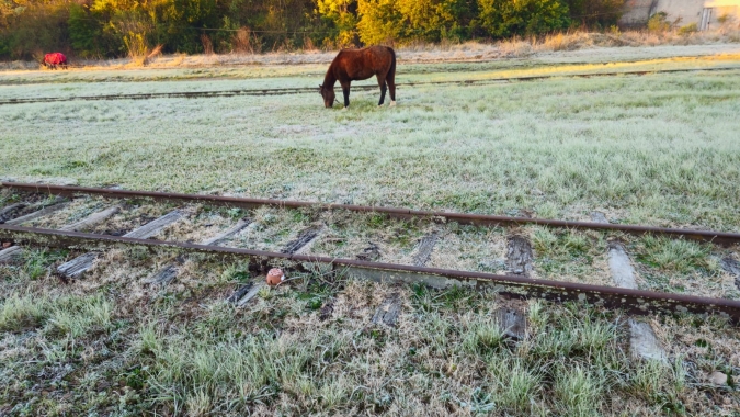Frio avança sobre lavouras do Sul e mantém risco de geada nos próximos dias