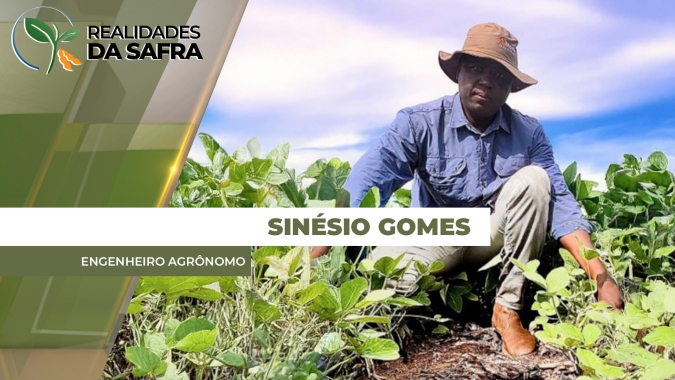 Colheita da soja avança em Espigão do Leste/MT com projeção de redução na produtividade