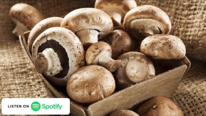 Podcast Eu como #82 - O maravilhoso mundo dos fungos comestíveis