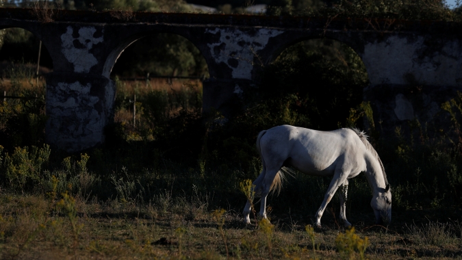 Com piora da seca em Portugal, aumenta temor por safras e abastecimento de água