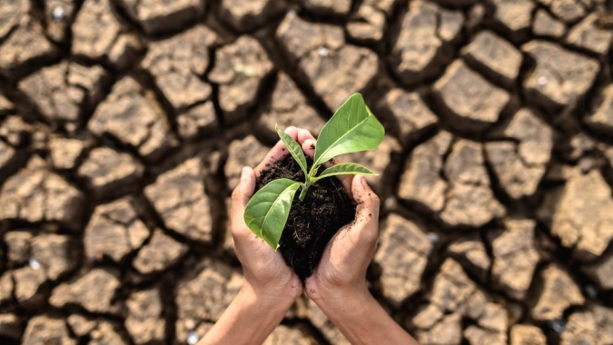 Resseguro ganha protagonismo no agro diante da escalada do risco climático e da pressão sobre o crédito rural