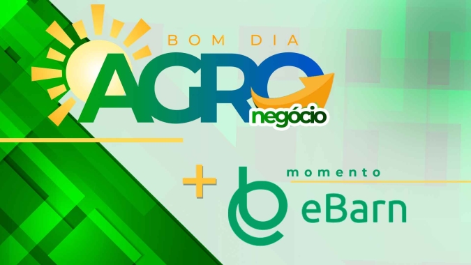 Ritmo lento na comercialização da soja 22/23 alerta para necessidade de planejamento comercial e escalonamento das vendas
