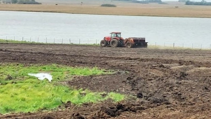 Semeadura de arroz no Estado do Rio Grande do Sul alcança 9,5% da área estimada