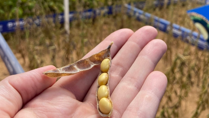 StoneX: La Niña pode alterar clima e produção agrícola no Brasil e no mundo
