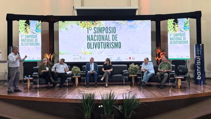 Olivoturismo deve ser oferecido a turistas como uma experiência