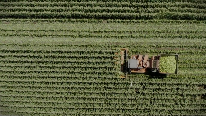 Bayer apoia a sustentabilidade na agricultura com sua iniciativa “Carbono Bayer”