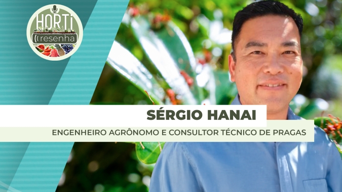 HORTI RESENHA #136 - Boas práticas agrícolas na produção de tomates