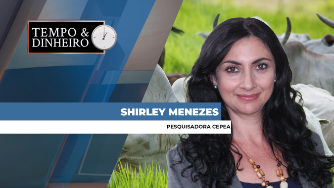 Boi gordo encerra semana com mercado físico firme de olho nas exportações, analisa Shirley Menezes