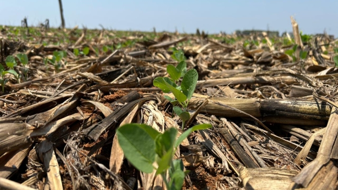Clima atrasa plantio da soja em Goiás e pode mudar perfil da safra 2025/26