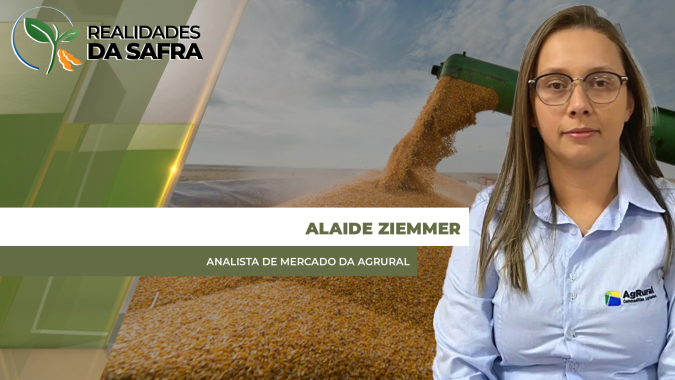 Colheita da soja ganha ritmo no Brasil e AgRural estima safra de 168,2 milhões de toneladas