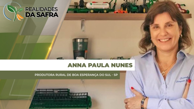Colheita do milho entra na reta final em Boa Esperança do Sul/SP com produtividade abaixo do esperado