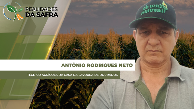 Laguna Carapã/MS deve ter soja com média de 38 sc/ha e agora se preocupa com a cigarrinha do milho