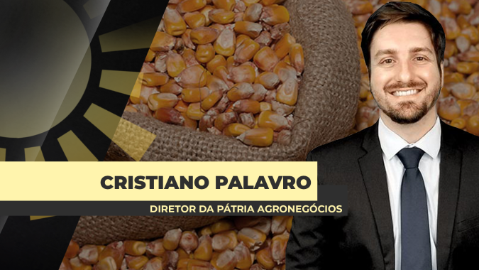EUA plantando menos soja na safra 25/26 pode sinalizar margens melhores para os produtores brasileiros