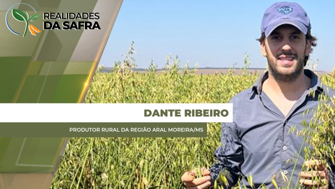 Restando menos de 10% por colher da safra de milho, Aral Moreira/MS espera boa média de produtividade