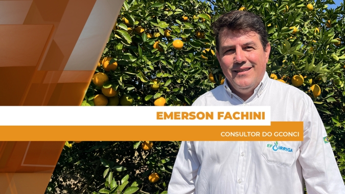 Fungicida Melyra® da BASF deve reduzir tempo e gastos com manejos na produção de citrus