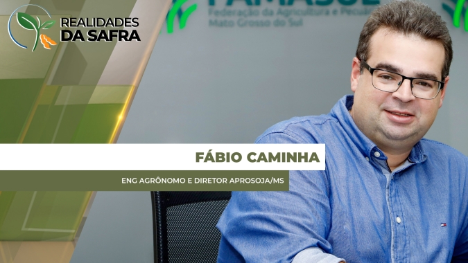 Colheita do milho começando no Mato Grosso do Sul com projeção de passar da 82 sc/ha