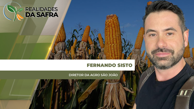 Produtor de São João (PA) colhe em média 76 sacas por hectare