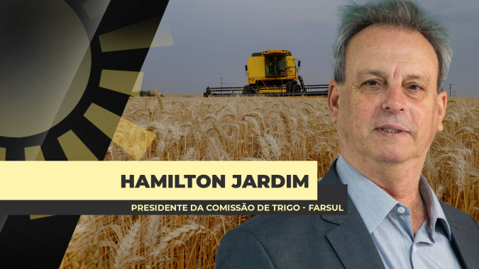 Sem perspectiva, com riscos e custos altos, produtor do RS deve reduzir área de trigo na nova safra