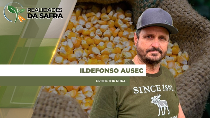 Colheita do milho praticamente encerrada em Dr. Camargo/PR com produtividades variando de acordo com época de plantio
