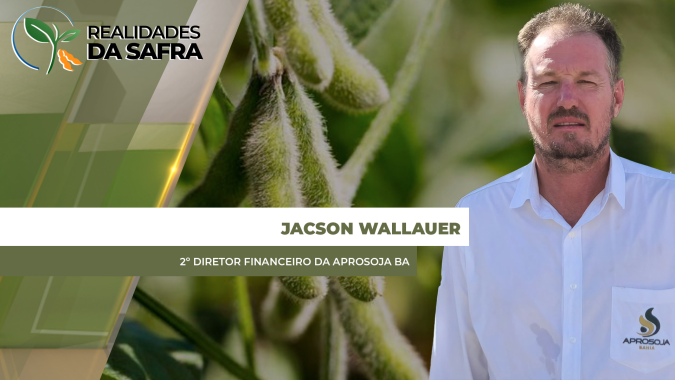 Clima ajudou durante todo o ciclo e Bahia colhe soja com mais produtividade do que safra passada
