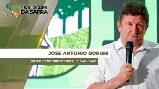 Colheita do milho segunda safra alcança mais de 70% na região de Maringá/PR