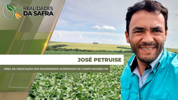 Colheita do milho começa em Campo Mourão/PR com projeção acima de 100 sc/ha