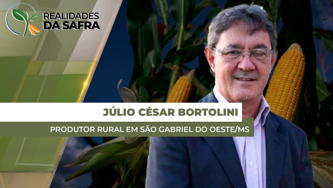 Colheita do milho em São Gabriel do Oeste/MS alcança 90% da área, com boa produtividade e expectativa de preços melhores