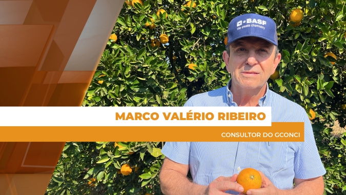 Efeito tônico do novo fungicida da molécula Revysol® nos pomares de laranjas é positivo