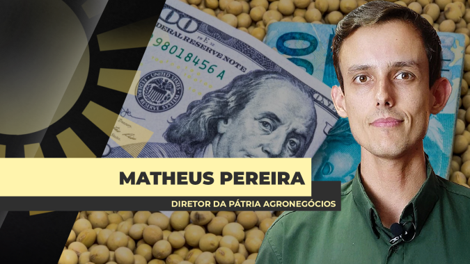 Brasil avança com negócios no mercado da soja com demanda chinesa presente e dólar alto