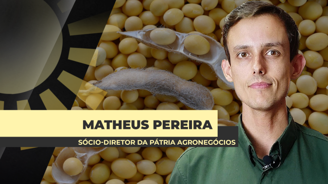 Brasil tem prêmios fortes e sustentados para a soja e quase 50% da safra 24/25 comercializada