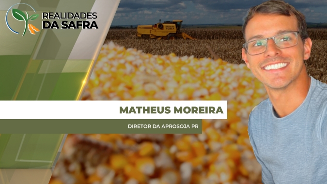 Colheita do milho no Paraná ganha ritmo em julho