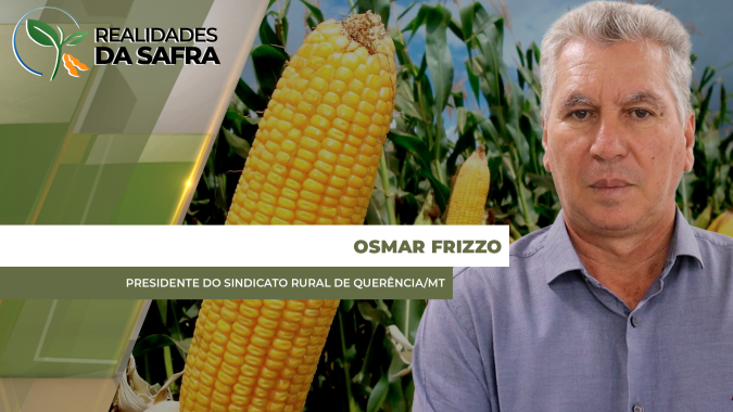 Querência/MT fecha soja com 63 sc/ha e apostou em aumento de área no milho