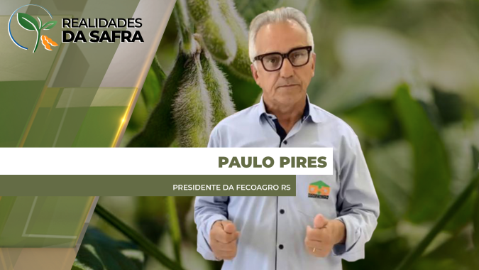 Rio Grande do Sul tem perdas entre 5 e 50% do potencial produtivo da soja