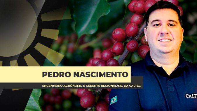 Período de pós colheita no café é momento crucial para definições de manejo que vão garantir nutrição, saúde e sustentabilidade dos cafezais