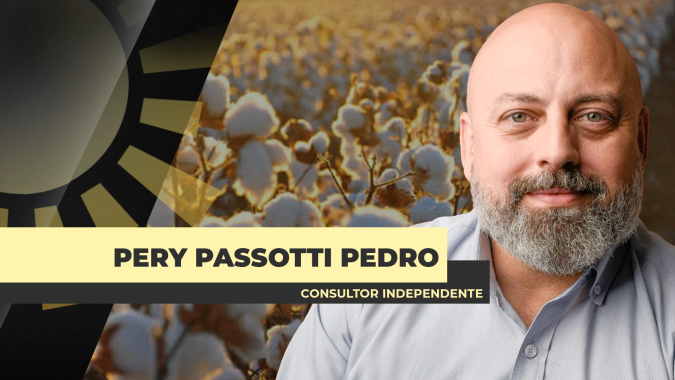 Redução da área de plantio de algodão nos EUA é projetada para 12% e surpreende mercado