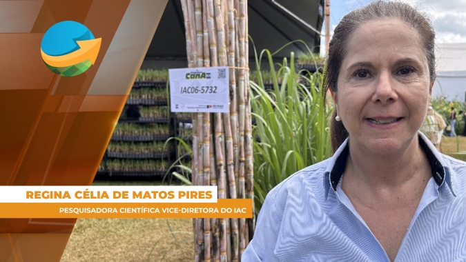 IAC desenvolve pesquisa para monitorar uso da água na irrigação