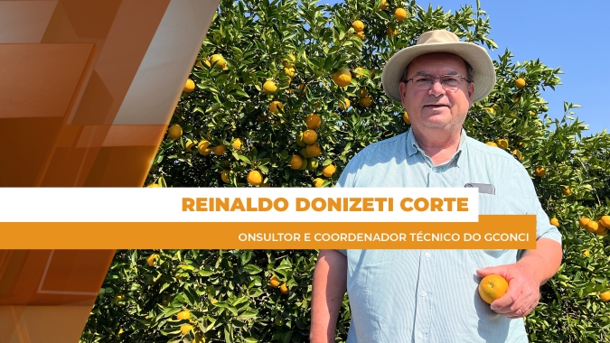 Citricultura é afetada pela falta de novos produtos para combate de doenças