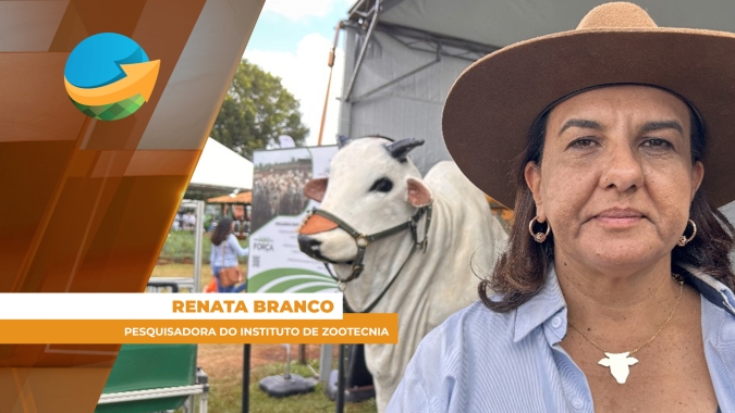 Pesquisa do Instituto de Zootecnia visa mensurar e monitorar emissão de gases na pecuária bovina