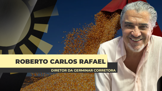 Preços do milho no Brasil equivalentes à paridade de importação são mais um sinal da ineficiência das medidas do governo