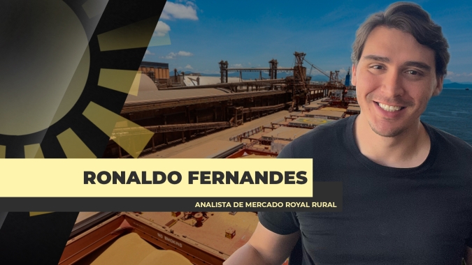 Brasil se distancia cada vez mais de negociação com os EUA e agro vai sentir em todas as frentes