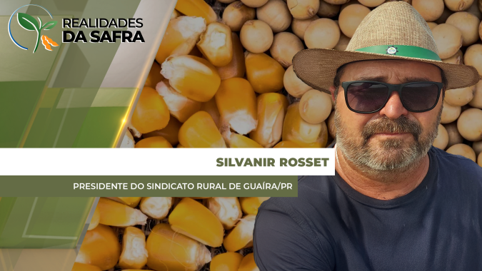 Soja de Guaíra/PR perdeu 30% de produtividade e agora milho também já tem prejuízos