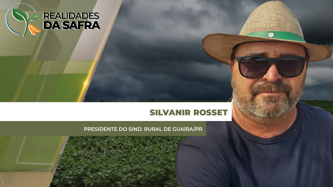Guaíra/PR deve ter produtividade da soja perto de 50 scs/ha e qualidade comprometida por conta do excesso de chuvas