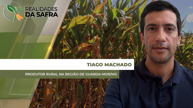 Milho safrinha com desenvolvimento atrasado em Guarda-Mor (MG) por estiagem