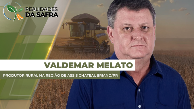 Dois veranicos em Assis Chateaubriand/PR tiraram produtividade da soja