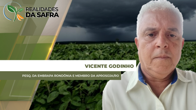 Chuva impede final da colheita da soja e plantio do milho em Rondônia