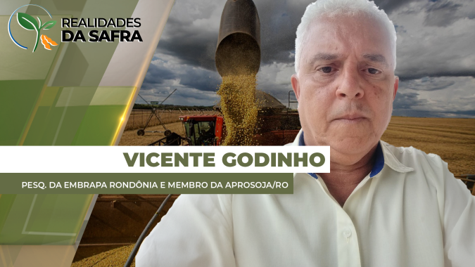 Distribuição de chuvas positiva deve trazer boa produtividade na soja de Rondônia